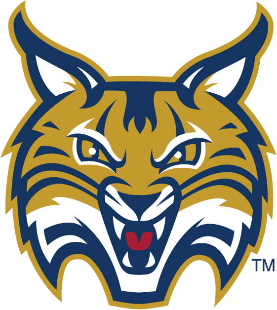 Quinnipiac Bobcats 2002-Pres Secondary Logo diy fabric transfer